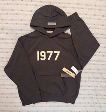 Essentials 1977 iron hoodie picture
