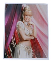 Barbara Eden BARBARA EDEN PHOTO 8'' X 10'' Inch Photograph picture