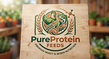 300 Live Black Soldier Fly Larvae (Calci Worms  High Calcium Feeder Insect picture