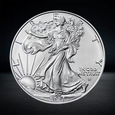 2024 $1 American Silver Eagle 1 oz picture
