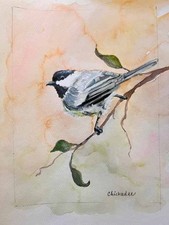 Sophie Dare, Original Art, 11X14 Watercolor Bird Fine Art Chickadee 2 picture