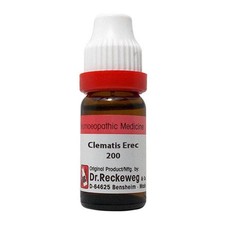 Dr. Reckeweg Clematis Erec Dilution 200 CH picture