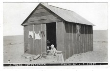 South Dakota Homestead RPPC Photo Postcard Mailed From Draper, Jones County picture