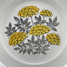 Rörstrand Capri Dinner Plates Set Of 8 Vintage Scandinavian Sweden Mid Century picture
