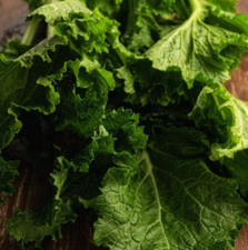 SEVEN TOP TURNIP Best Tasting Greens, Sprouting Heirloom Cool Non-GMO 250 Seeds picture