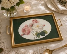 Pierre Joseph Redouté Rosa Damascena Botanical  Framed In A Vintage Frame. picture