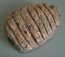 Near Eastern terracotta tablet with early form of writing picture