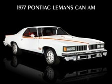 1977 Pontiac LeMans Can Am Special Edition New Metal Sign: 12x16