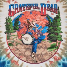 2000 Liquid Blue Grateful Dead 1994 Fall Tour Tie Dye T-Shirt XL Banjo Skeleton picture