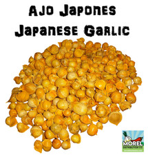 AJO JAPONES (JAPANESE GARLIC) 100% NATURAL 150-250-400 PER BAG picture