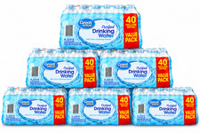 (6 PACK) Great Value Purified Drinking Water, 16.9 fl oz Bottles, 40 Count Pack picture