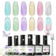 Modelones Gel Nail Polish Set with Magnet, 6 Colors Summer Silver Cat Eye Gel Po picture