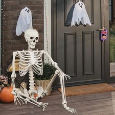 5.4ft Halloween Skeleton Full Body Life Size Posable Skeleton Movable Joints picture