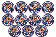 Trump Derangement Syndrome Stickers Decal Vinyl Window Bumper TDS America 10pk picture