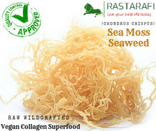 Rastarafi Whole Leaf Irish Moss Sea Moss 2 Lb | Raw Wildcrafted Superfood picture