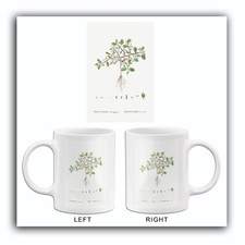 Trianthema Monogyna (Desert Horsepurslane) - 1799 - Redoute Illustration Mug picture