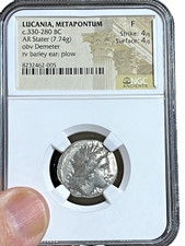 Greek Lucania Metapontum AR Stater, c.330-280 BC, 4 Strike & Surface, NGC-Fine picture