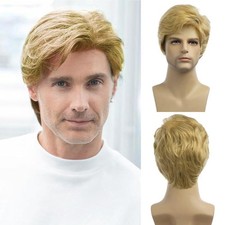 Baruisi Men Wigs Short Blonde Wig Synthetic Heat 1 Count (Pack of 1), blonde picture