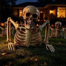 Halloween Half Body Skeleton Decoration Plastic Skull Ribs Arms Haunted House US picture