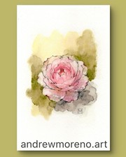 Original 4x6 Mini Watercolor Rose  Painting  — Postcard Size Fine Art picture