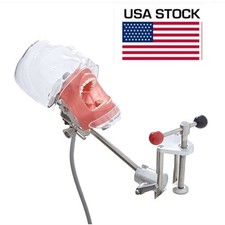 Dental Simulator Manikin Phantom Head Model 28pcs Replacement Teeth For Desk US picture