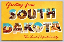 Greetings From South Dakota Large Letter Vintage Postcard c.1962 picture