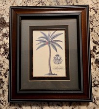 Dionysius Palm Print Dionysius Ehret Art Print (Princess Of Wales) Rare Print. picture
