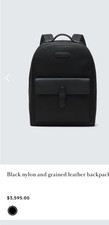 Brioni Backpack picture