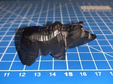 2.17” Native Zuni Carved Jet Bear Fetish By Mary Tsikewa (d.) picture