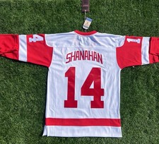 Mitchell & Ness Jersey Men’s Brendan Shanahan Red Wings 2001-02 ‘A’ Size Medium picture