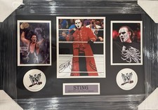 2016 WWE HOF Sting Autographed Framed 8x10 Photo With JSA COA picture