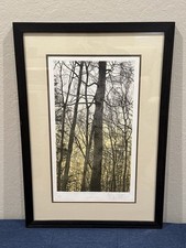 FRANKLIN GALAMBOS Original 1976 Hand-Tinted Etching 