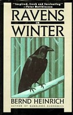 Ravens in Winter - Paperback By Heinrich, Bernd - GOOD picture