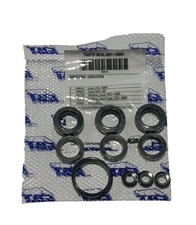 76975 SEAL KIT FOR CAT PUMP 4DNX Pumps 4DNX25GSI , 4DNX27GSI 4PPX25GSI, 4PPX30GS picture