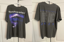 Fleshwater Band In Search Of The Endless Sky 2 Sided T Shirt Full Size S-5XL picture