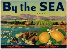 ORIGINAL LEMON CRATE LABEL VINTAGE VENTURA COUNTY MONTALVO 1940 RARE BY  THE SEA picture