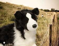 Chase Border Collie Dog Plush Stuffed Animal | 16-inch ESSA picture