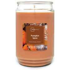 Pumpkin Spice Scented single Wick candle Large jar 20 Ounces Home Fragrance.... picture