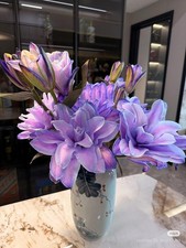 Pure Purple Double Oriental Lily Bulbs Imported Flower Plant Pack of 2 picture