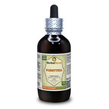 Forsythia (Forsythia Suspensa) Tincture, Dried Fruit Liquid Extract picture