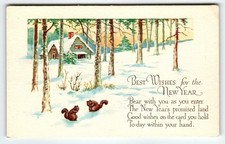 Vintage 1907-1915 New Year Lithograph Postcard Snowy Cabin & Squirrels picture