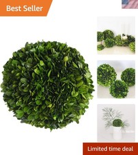 Elegant 8-Inch Preserved Boxwood Decorative Ball for Centerpieces & Bowls picture