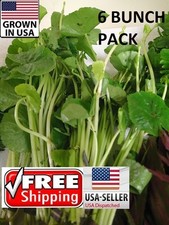6 bunches Brazilian Pennywort plants Easy Aquarium aquascaping planted tank pond picture