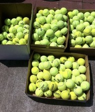50 Used Tennis Balls picture