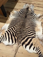 Antique GENUINE AFRICAN BURCHELL ZEBRA SKIN HIDE picture