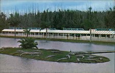 Orlando Florida FL Alligator Farm Gatorland c1950s-60s Postcard picture