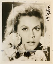 Elizabeth Montgomery Press Photo 1967 Bewitched Stamped Dated Published Aug 24th picture