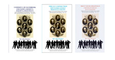 David E. Robinson 3 Books Set: Common Law ..., The UCC ... & Meet Your Strawman picture