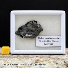 Sikhote-alin meteorite - genuine space rock - found in ne of vladivostok picture