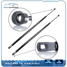 For 1982-1992 Pontiac Firebird Chevrolet Camaro 2 Hatch Lift Supports Struts Gas picture